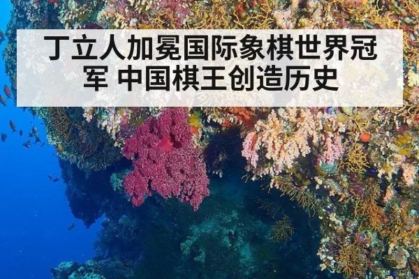 丁立人加冕国际象棋世界冠军 中国棋王创造历史